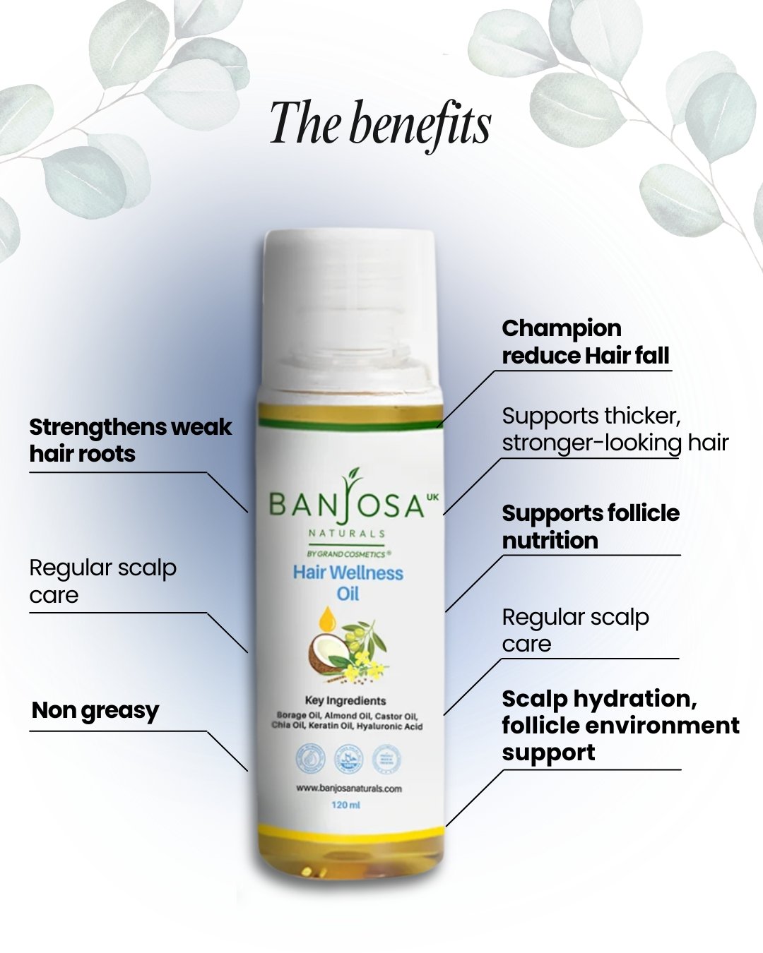 Hair Wellness Oil (No Hair Fall) - Image 3