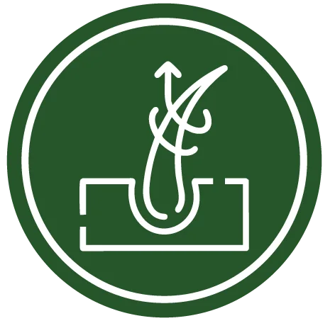 Deep Repair & Damage Control