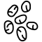 Chia Icon